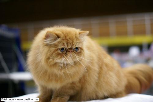 Mystery Hotter Than July