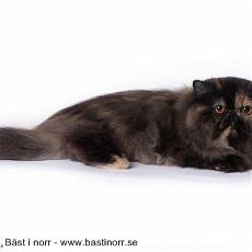 Emelie av Dakina Biral